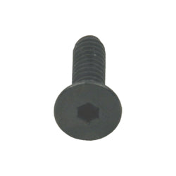 Vis à oxyde noir (10/sachet)