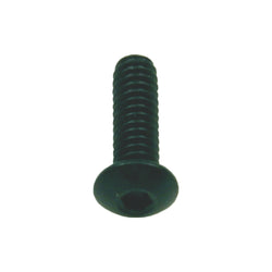 Vis oxydées noires (10/sachet)