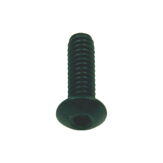 Vis oxydées noires (10/sachet)
